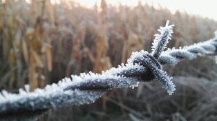 Vuelven las heladas a los campos y descienden las temperaturas