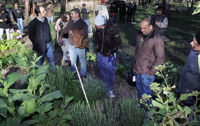 Huertas urbanas: comenzó un curso para personas con discapacidad