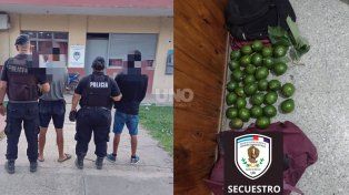 Los delincuentes y las paltas robadas en Recreo.