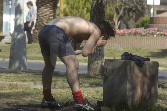Los bebederos son escasos o nulos en los espacios públicos de la ciudad