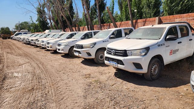 Adrián Mercado realizará dos importantes subastas de las firmas Techint y Cartellone