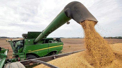 La soja alcanzó el valor más alto en 15 meses