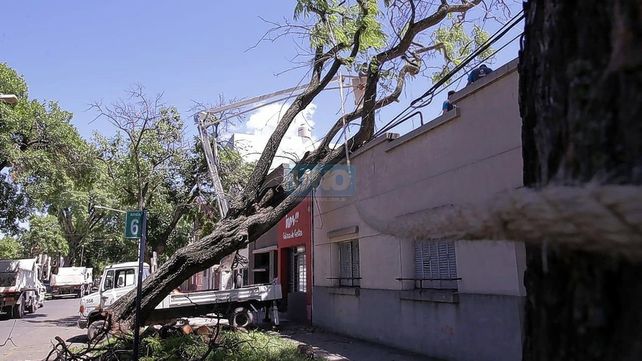 Paraná: la comuna realiza un operativo de urgencia tras los daños por el temporal