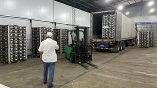 For export: naranjas frescas de Entre Ríos a Ecuador