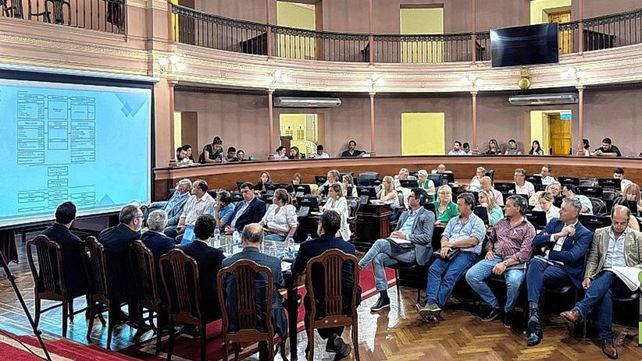 Diputados