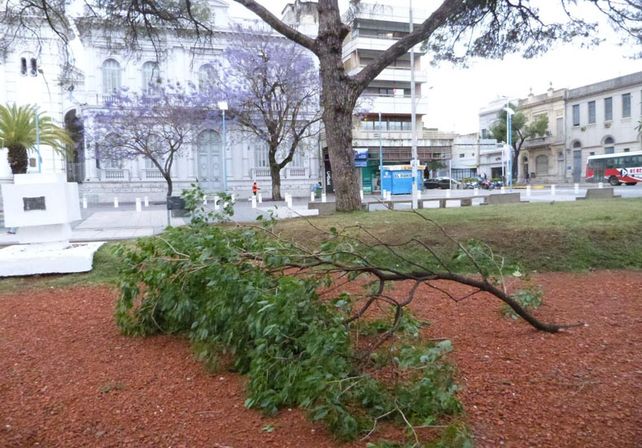 Foto: Facebook Paraná hacia el mundo