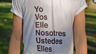 La polémica sobre el uso del lenguaje inclusivo pareciera no terminar.&nbsp;