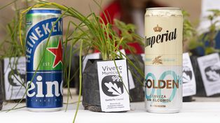 El proyecto de CCU que buscar recuperar y revalorizar todos sus reciclables