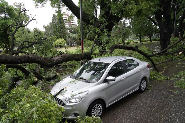 La Municipalidad recibió 1.100 reclamos por los daños causados por la tormenta de este miércoles.&nbsp;