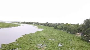 La crecida del río San Javier y su impacto en Saladero Cabal.