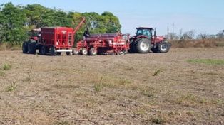 Avanza el trigo en Santa Fe: productores ya sembraron el 45% de la superficie prevista en el centro y norte de la provincia