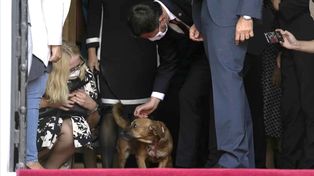 Tierno pichicho: el perro del primer ministro de Grecia interrumpió una conferencia