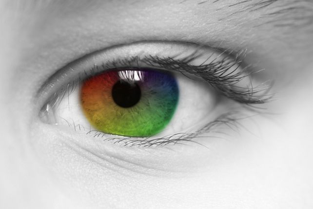 Imperceptibles: los colores que nunca podrás ver