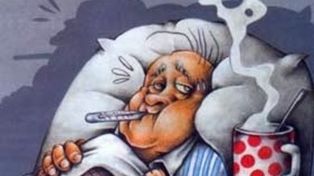 Holanda frena la ola de medicamentos caseros en Internet contra la gripe A