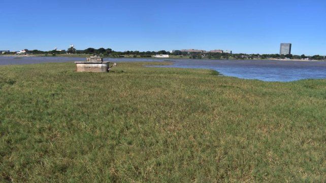 Se consolidó un nuevo embalsado en la laguna Setúbal luego de varias semanas de crecida del río Paraná. Foto: José Busiemi (UNO Santa Fe).