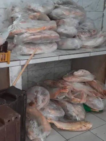 Decomisan en Diamante casi una tonelada de pescado y lo sepultaron