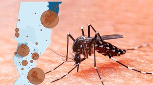 Mapa interactivo: dónde se concentran los casos de dengue en Santa Fe