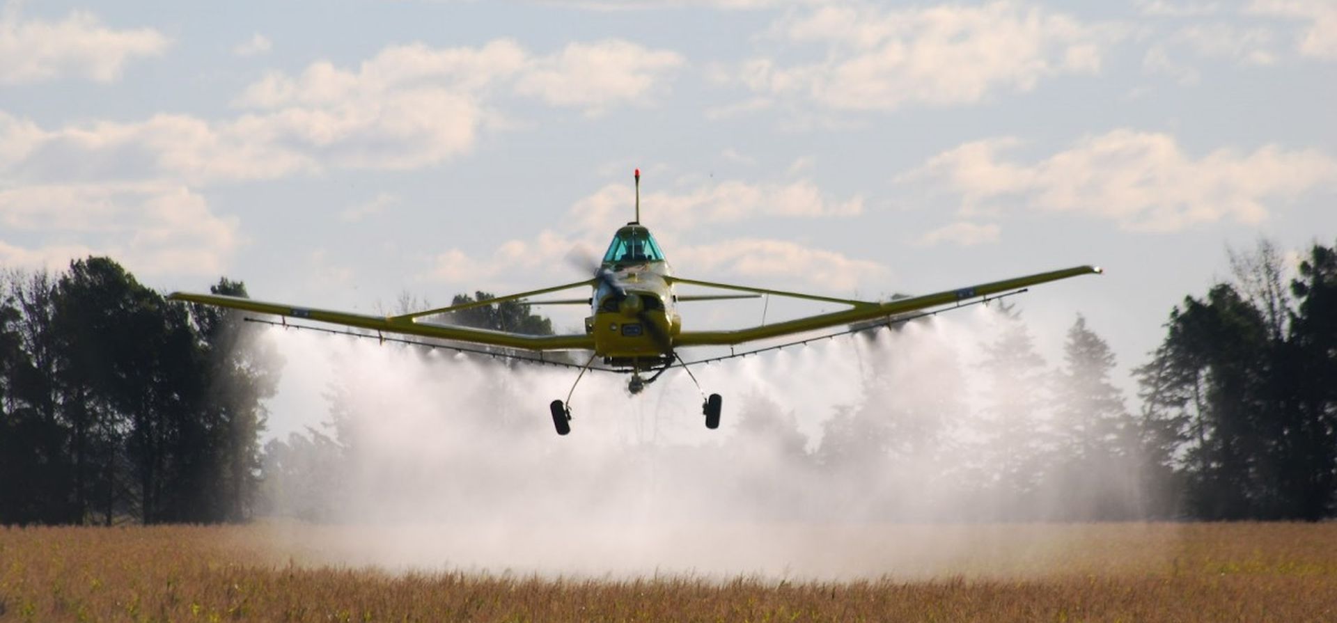Ya cansa mostrar evidencias del daño de los agroquímicos en los humanos