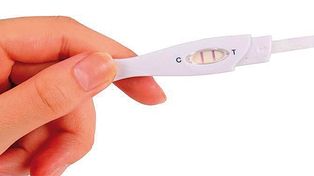 Fertilidad: La contaminación ambiental  genera tóxicos reproductivos