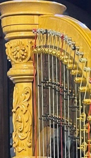Orquesta Sinfónica de Entre Ríos trae al Juan L Ortiz a Mozart y a Beethoven