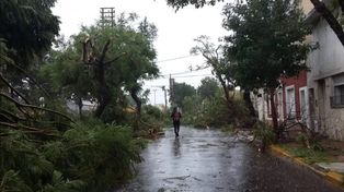 Feroz temporal de lluvia