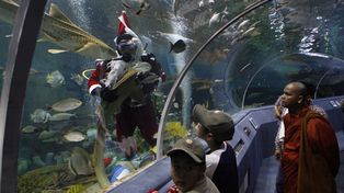 El mundo recibi&oacute; la Navidad con grandes festejos y pedidos de paz y unidad