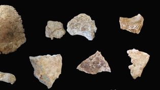 China: encuentran f&oacute;sil de calavera de 100 mil a&ntilde;os