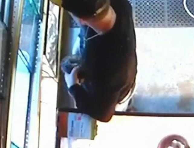 No tuvo mejor idea que robarse una pitón negra y esconderla en sus pantalones