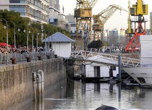La ballena salió del dique de Puerto Madero e intentaban guiarla hacia aguas abiertas