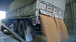 El Gobierno nacional eliminó el Registro Único de la Cadena Agroindustrial (RUCA)