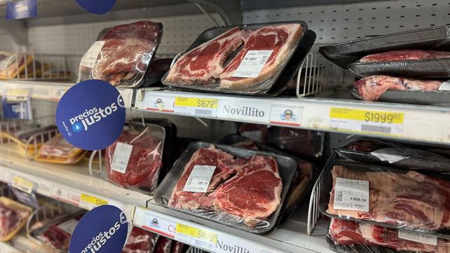Hay 18 mil toneladas mensuales de carne de novillo por mes como piso.