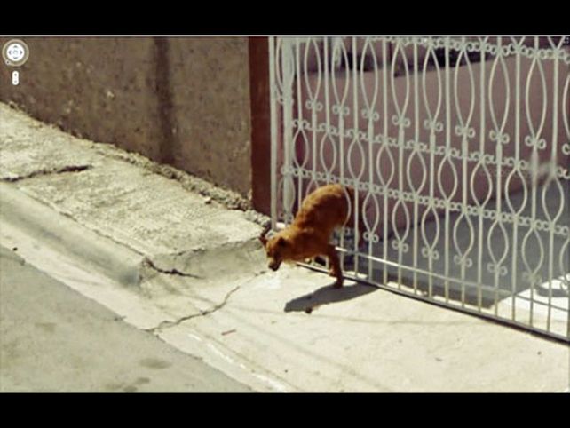 Aunque no a todos les sale bien eso de la huida. Una mala jugada del destino.