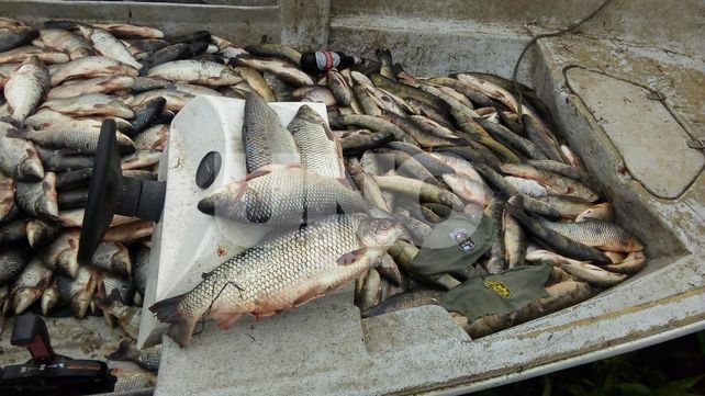 Secuestraron 1.603 pescados depredados en la zona de islas de Santa Fe