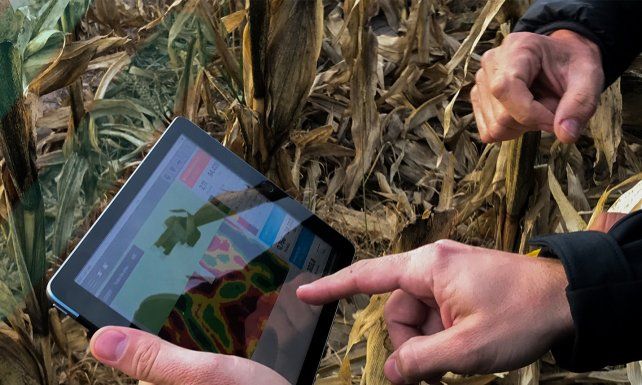 Agricultura digital para descifrar la variabilidad del suelo