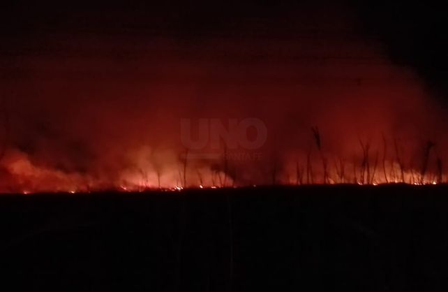 Incendios en las islas santafesinas durante 2020.