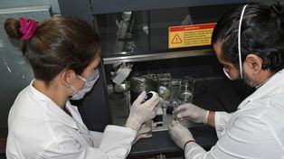 Se confirmaron 10.154 nuevos casos de coronavirus en Argentina y 125 muertes