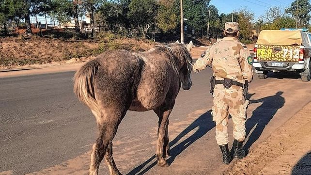 En Concordia en los últimos días hubo secuestros en las zonas de Camba Paso y del puente Alvear.
