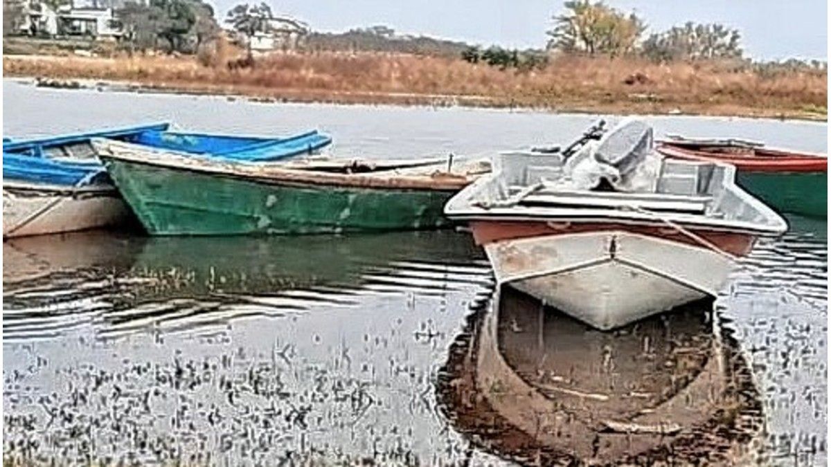 Preocupación en Las Cuevas por la altura del río Paraná