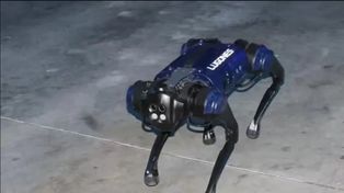 Cabo Lugones, un robot de cuatro patas que formará parte de la policía de Santiago del Estero.&nbsp;