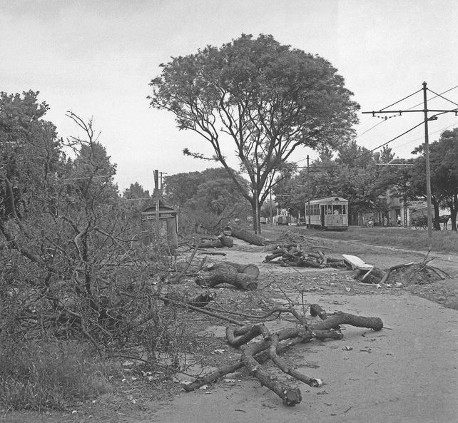 Calle Rondeau en transformación durante la gestión de Cándido Carballo. En el fondo, el tranvía avanza sin saber que está viviendo uno de sus últimos años de vida. 