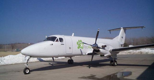 Lanzan Pet Airways, una aerol&iacute;nea exclusiva para mascotas