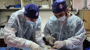 La organización del XII Congreso Latinoamericano de Órganos Artificiales y Biomateriales 2023 se realizara en Mar del Plata.