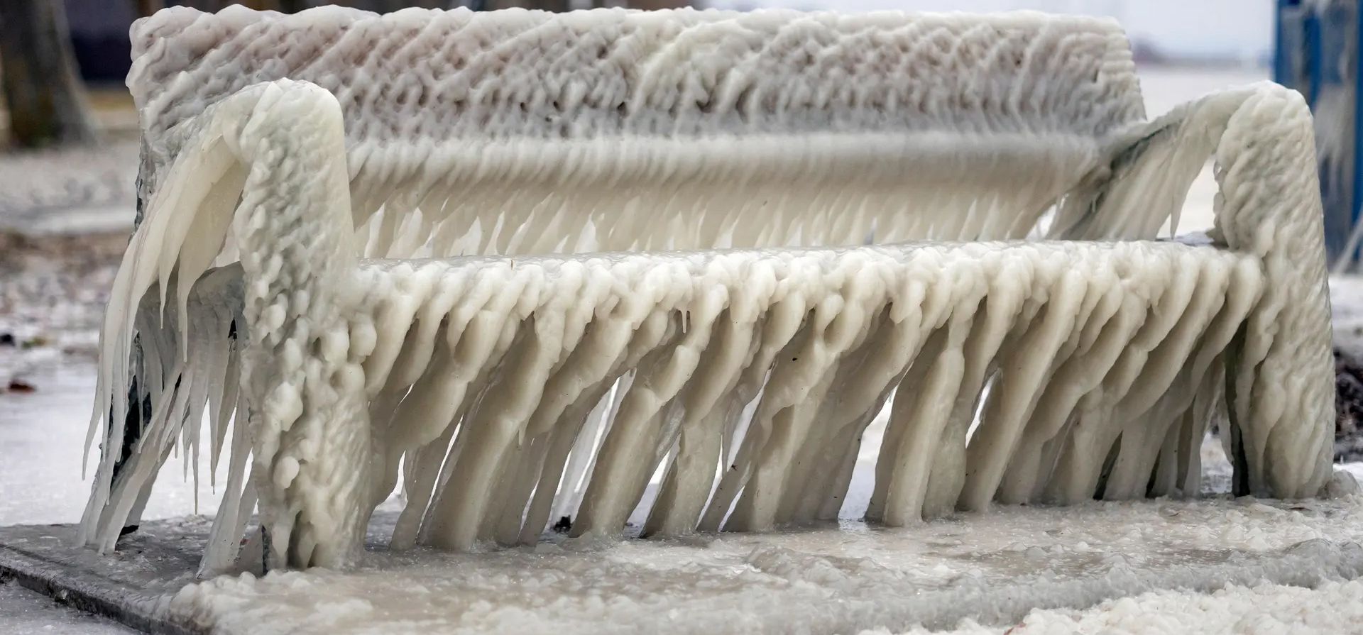 El hielo cubre un banco en la orilla del lago Balaton mientras la temperatura desciende a -6 ° C acompañada de fuertes vientos, Balatonfenyves, Hungría. Fotografía: György Varga/EPA El hielo cubre un banco en la orilla del lago Balaton mientras la temperatura desciende a -6 ° C acompañada de fuertes vientos, Balatonfenyves, Hungría. Fotografía: György Varga/EPA