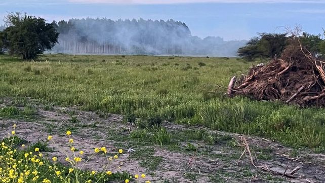 La Secretaría de Ambiente notificó e intimó a las autoridades municipales tras constatar focos ígneos y el acopio ilegal de envases de fitosanitarios