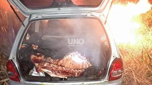 Faena clandestina. Persecución, disparos y un auto incendiado con un vacuno faenado en el interior.&nbsp;