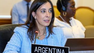 Pese a no ser diplomática de carrera, Sonia Cavallo había accedido a su cargo de embajadora ante la OEA por sus vínculos con el presidente.