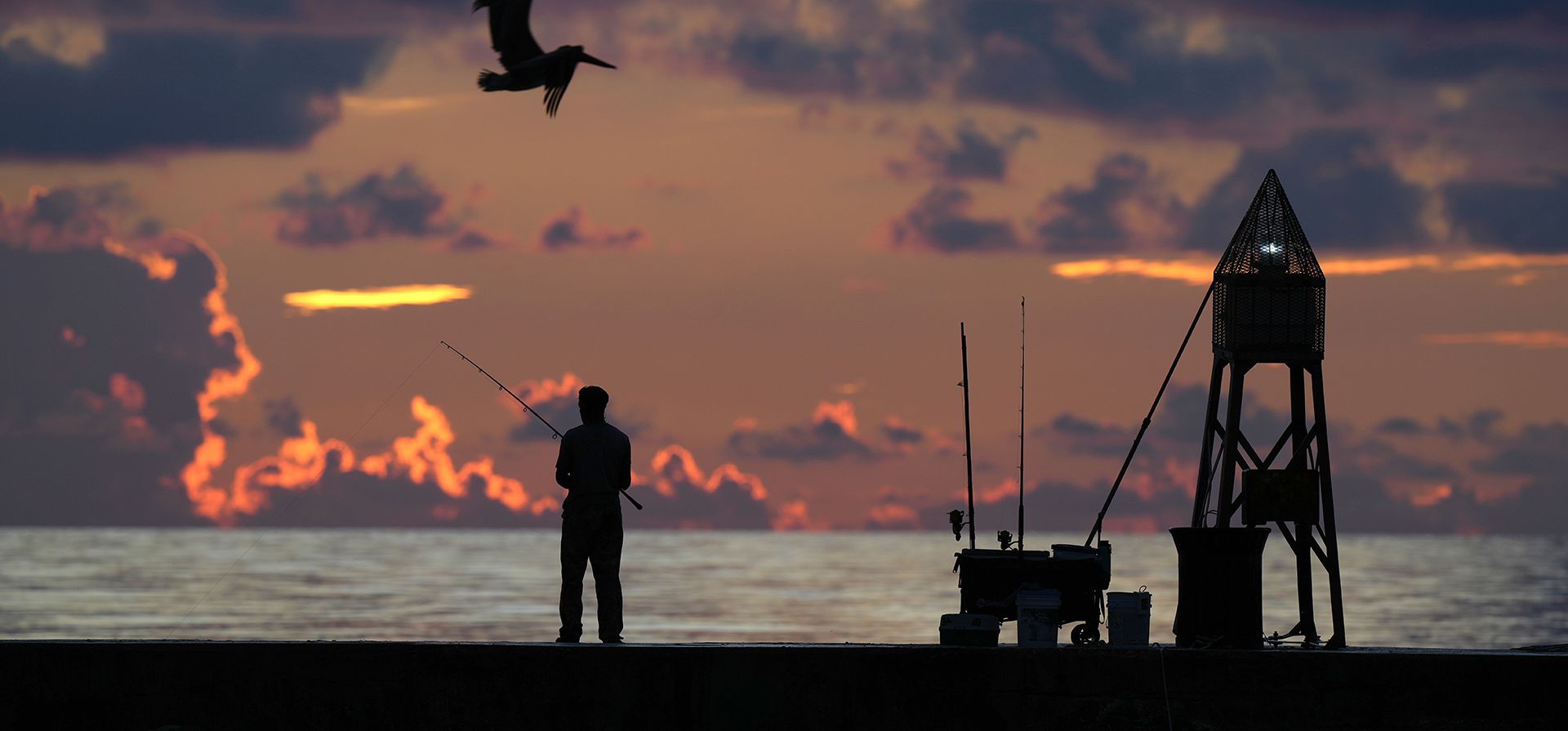 Un pelícano pardo vuela sobre un pescador justo antes de que salga el sol sobre el océano Atlántico, el jueves 3 de octubre de 2024, en Bal Harbour, Florida. (Foto AP/Wilfredo Lee)