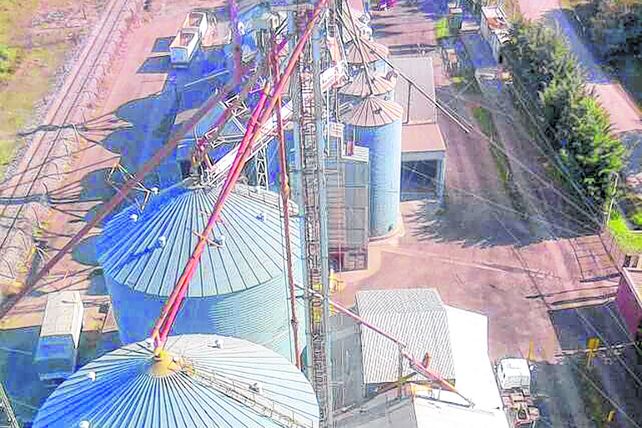 El acopio es un eslabón clave porque uno recibe el grano “que luego termina siendo alimento humano o animal”