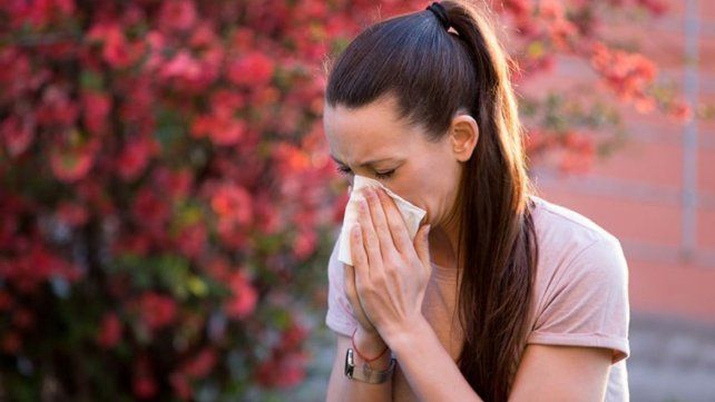 Se acerca la primavera a Santa Fe y además de flores trae alergias al polen entre otras Se acerca la primavera a Santa Fe y además de flores trae alergias al polen entre otras