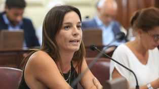 Lucila De Ponti, diputada por el Movimiento Evita